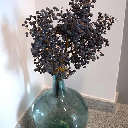 ホテル Mica Palas de Rei