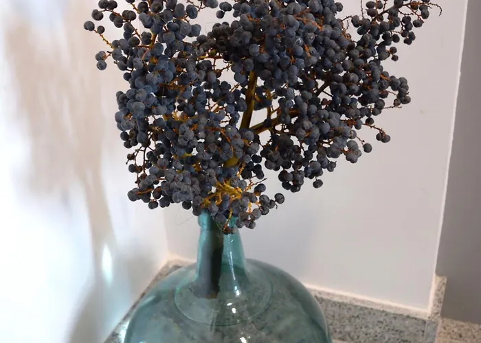 מלון Mica פאלאס דה ריי